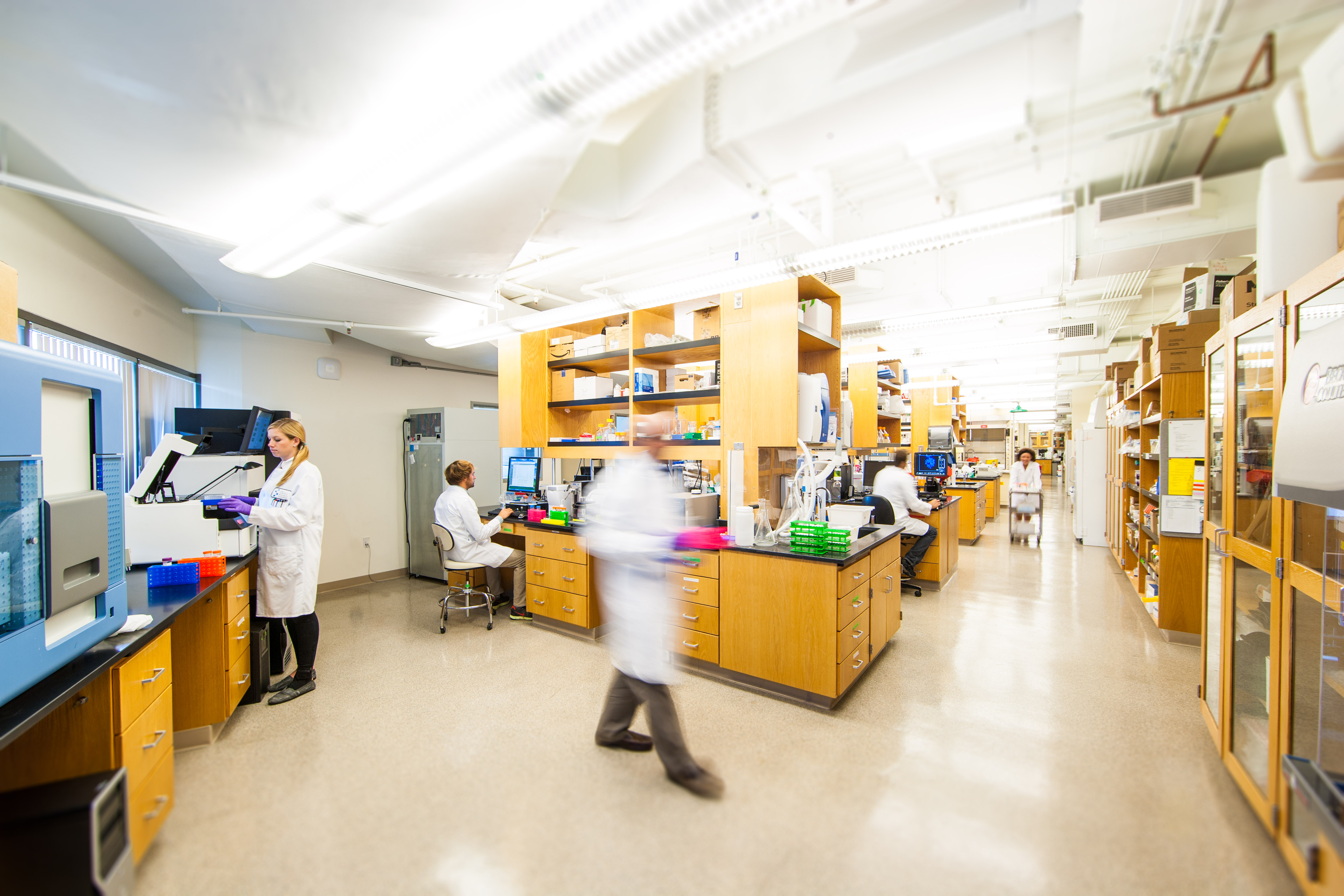 image of scientists in a lab