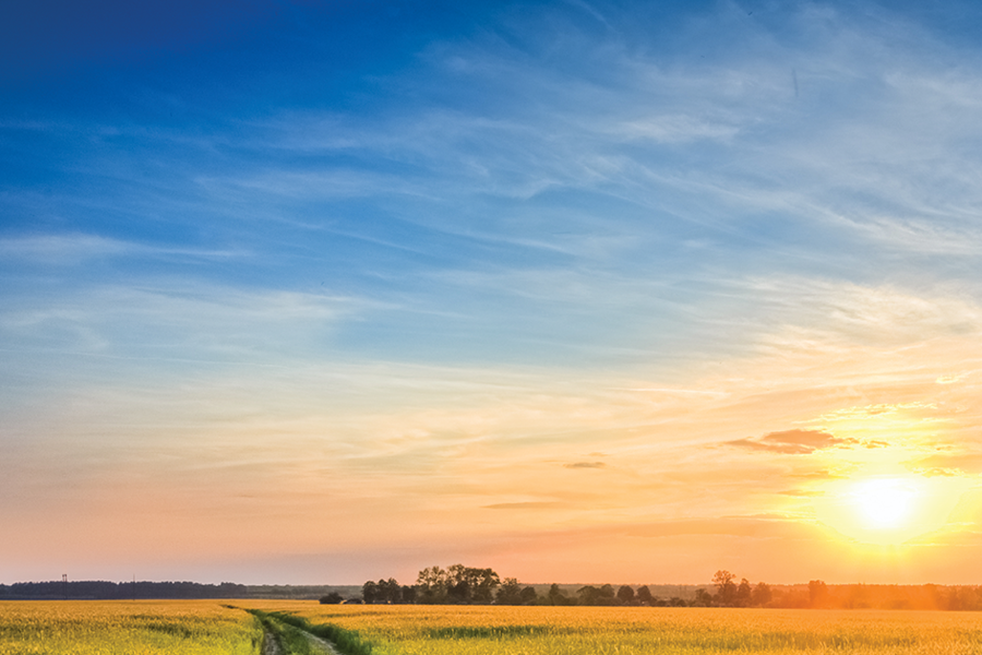 A sun setting over field.