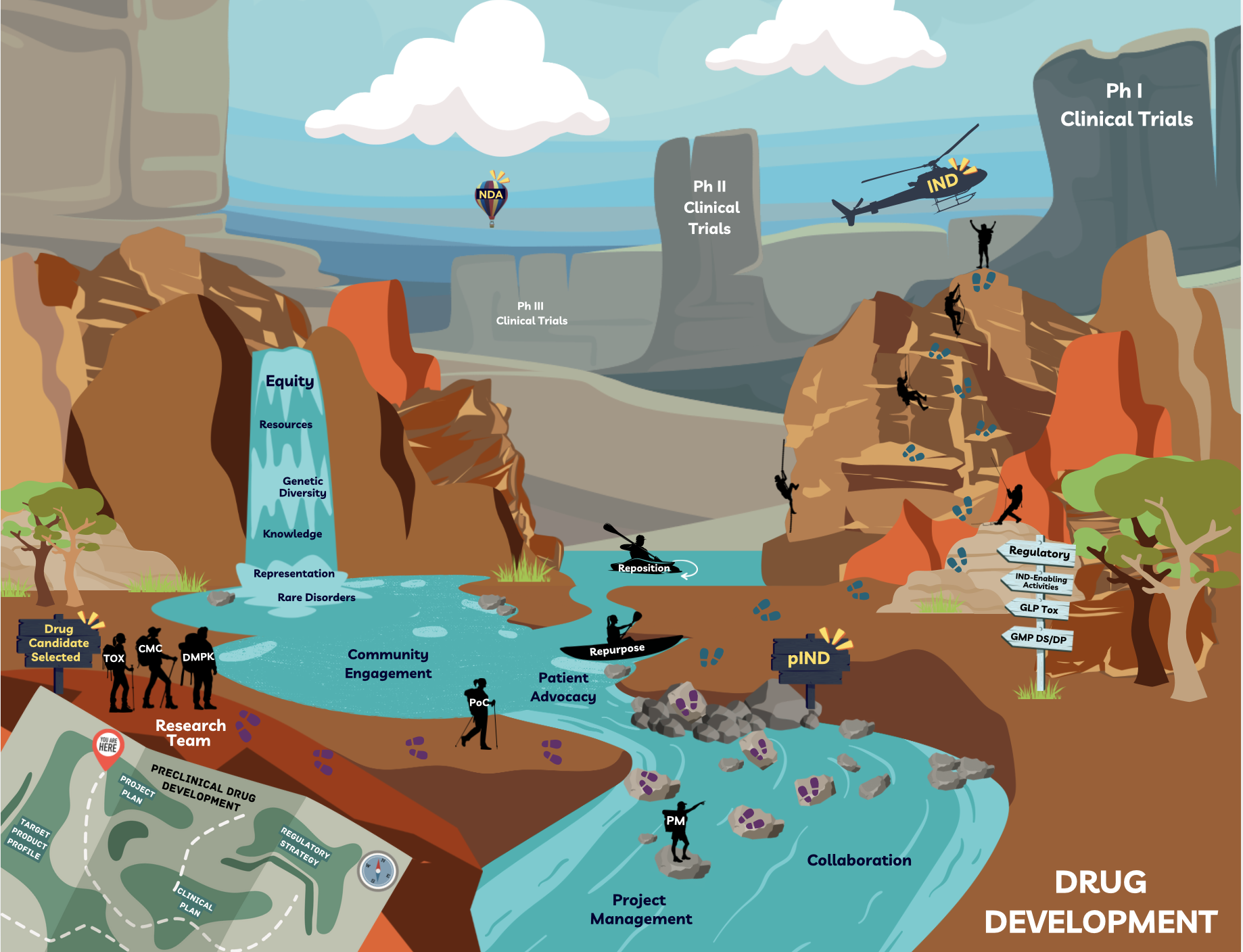 Depiction of the drug development process as a metaphorical journey through a canyon with a central river. The process begins with selecting a drug candidate and assembling a multidisciplinary research team. The journey encompasses preclinical development through to investigational new drug (IND) application. The river emphasizes that equity, community engagement and patient advocacy run through all steps in the journey to New Drug Application (NDA). A kayak and canoe in the river indicate optional paths for repurposed or repositioned drugs. Key team members making the journey include Toxicology, (Tox) Chemistry, Manufacturing & Controls (CMC), Drug Metabolism and Pharmacokinetics (DMPK), Proof of Concept, (PoC) and Project Management (PM). After crossing the river, the team arrives at the pre-investigational new drug (pIND) milestone. Following directional signs for regulatory, IND-enabling activities, Good Laboratory Practice (GLP) Toxicology, and Good Manufacturing Practice (GMP) Drug Substance/Drug Product (DS/DP), team members climb up a cliff. When they arrive at the top, they are greeted by a helicopter representing the IND milestone. On distant canyon peaks, clinical trial Phases 1 through 3 are featured. A hot air balloon on the horizon symbolizes the ultimate NDA for approval for human use in clinical care.