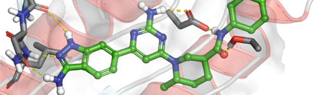 A compound attaches to a protein target.