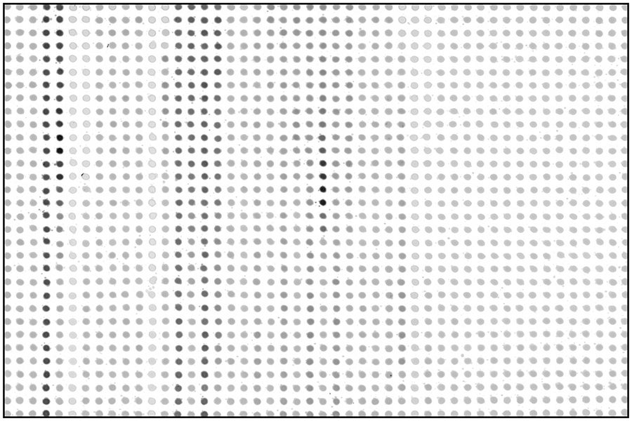 New assay plate for measuring protein samples through tiny dots of liquid.