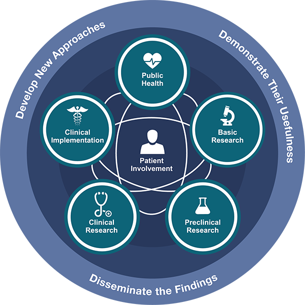 Circular image depicting the translational science spectrum